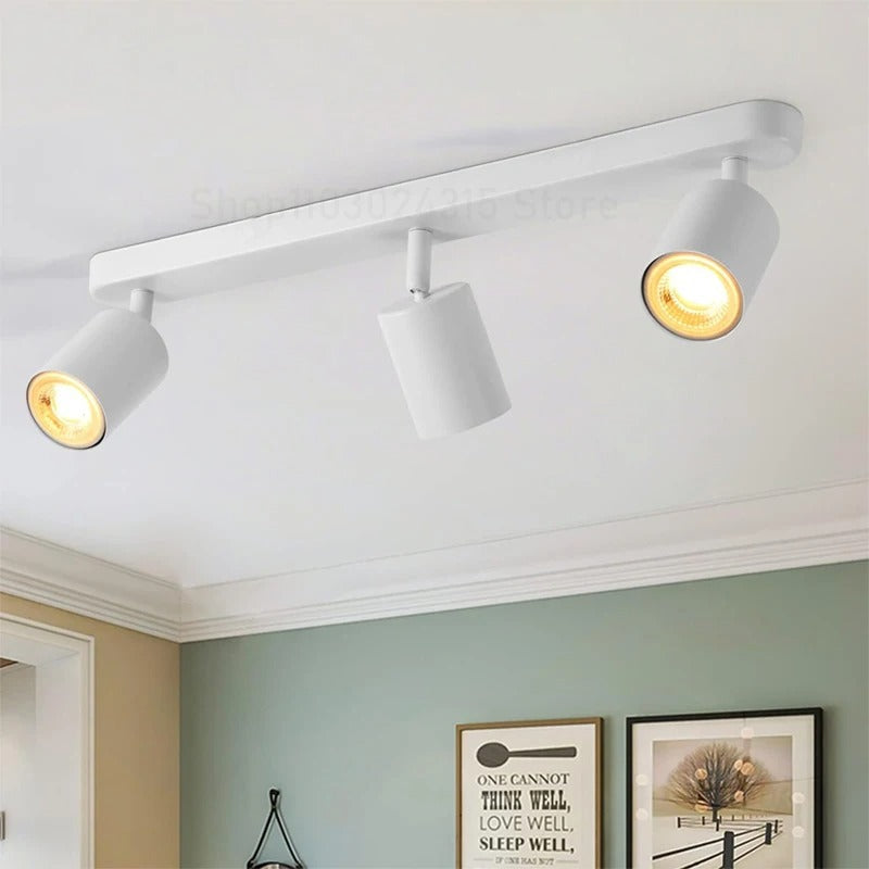 Fleur Adjustable Multi-Head Track Spotlight