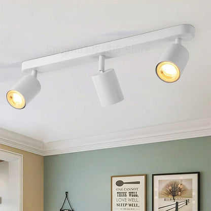 Fleur Adjustable Multi-Head Track Spotlight