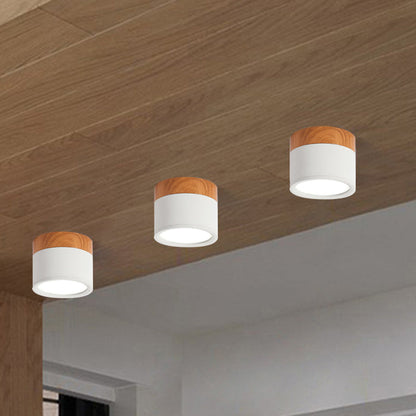 Élodie Macaron Metal Mini Flush Ceiling Light