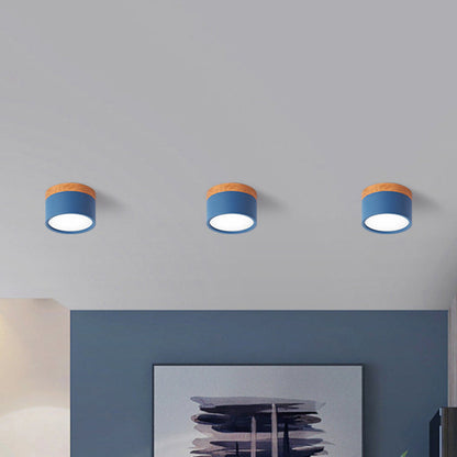 Élodie Macaron Metal Mini Flush Ceiling Light