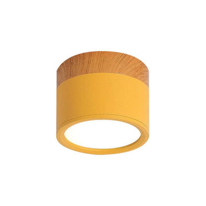 Élodie Macaron Metal Mini Flush Ceiling Light