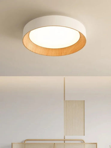 Amélie Minimal Luxe Ceiling Light