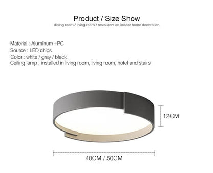 Adèle Sleek Minimalist Ceiling Lamp