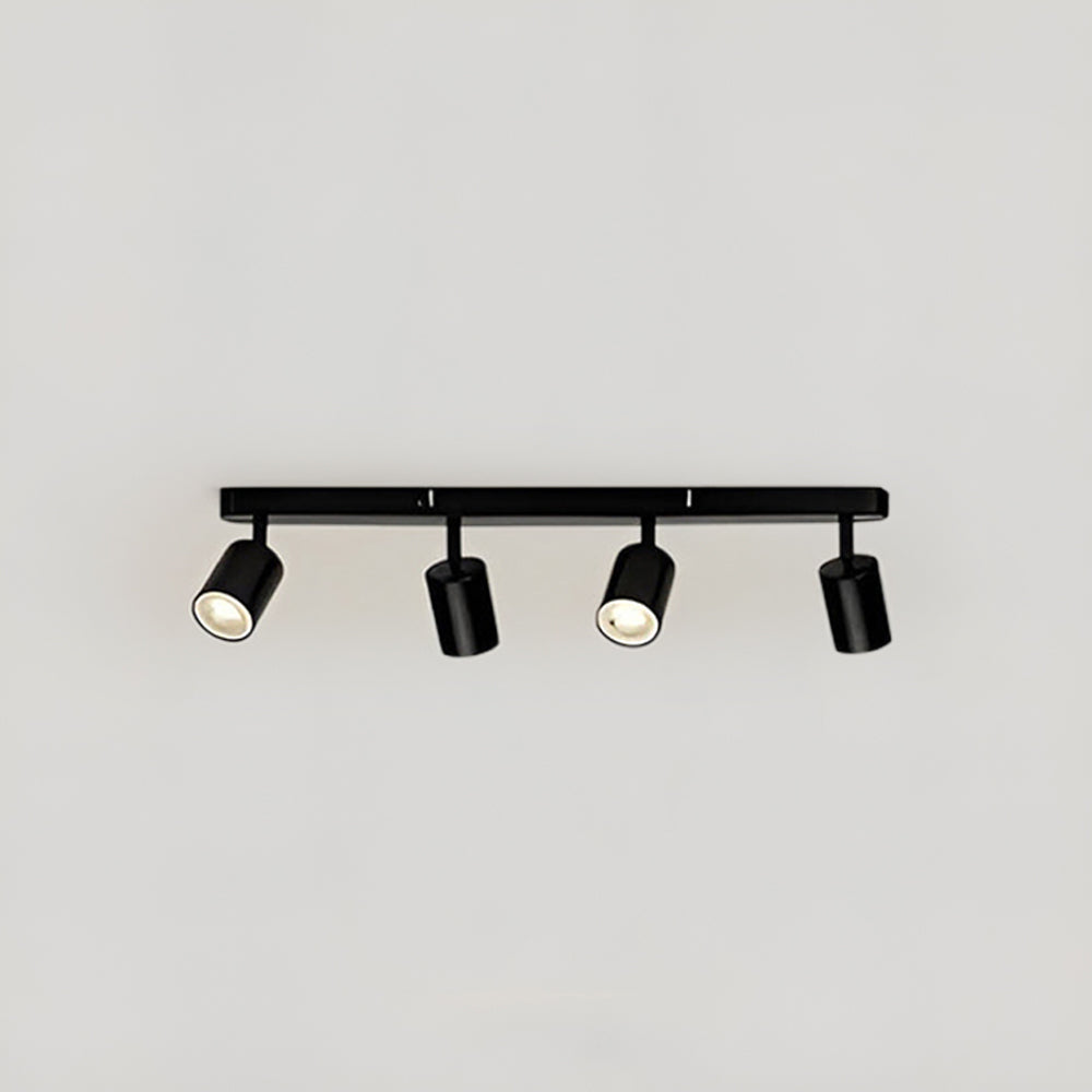 Fleur Adjustable Multi-Head Track Spotlight