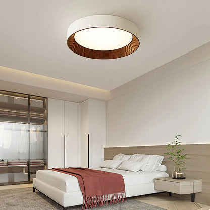 Amélie Minimal Luxe Ceiling Light