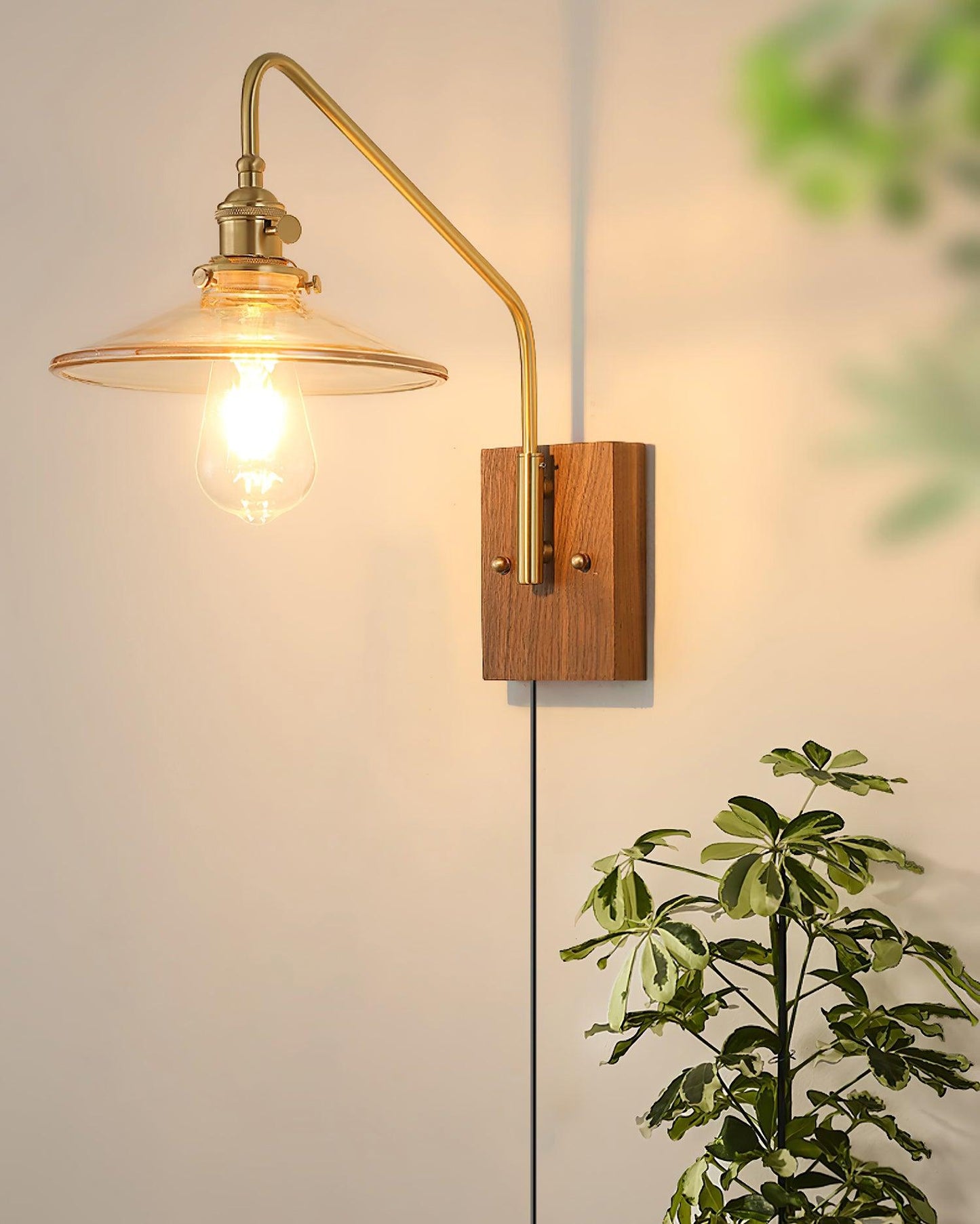 Amélie Retro Plug-In Wall Lamp with Walnut and Glass Design