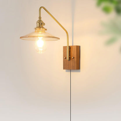 Amélie Retro Plug-In Wall Lamp with Walnut and Glass Design