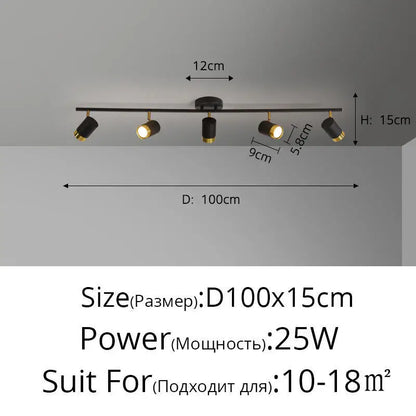 Élise Modern Black & White LED Ceiling Spotlight Lamp
