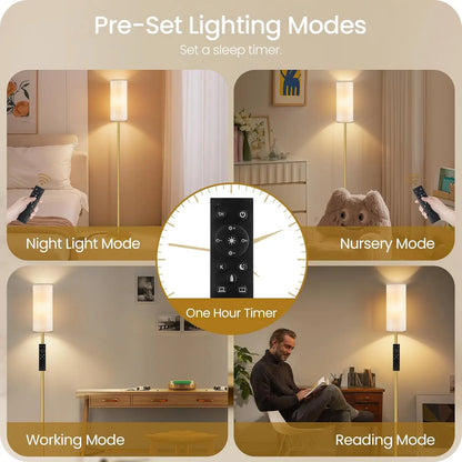 Sophie Modern Dimmable Dual Floor Lamp Set with Remote LED Standing Light