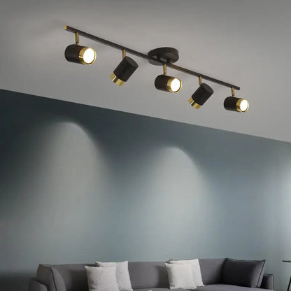 Élise Modern Black & White LED Ceiling Spotlight Lamp