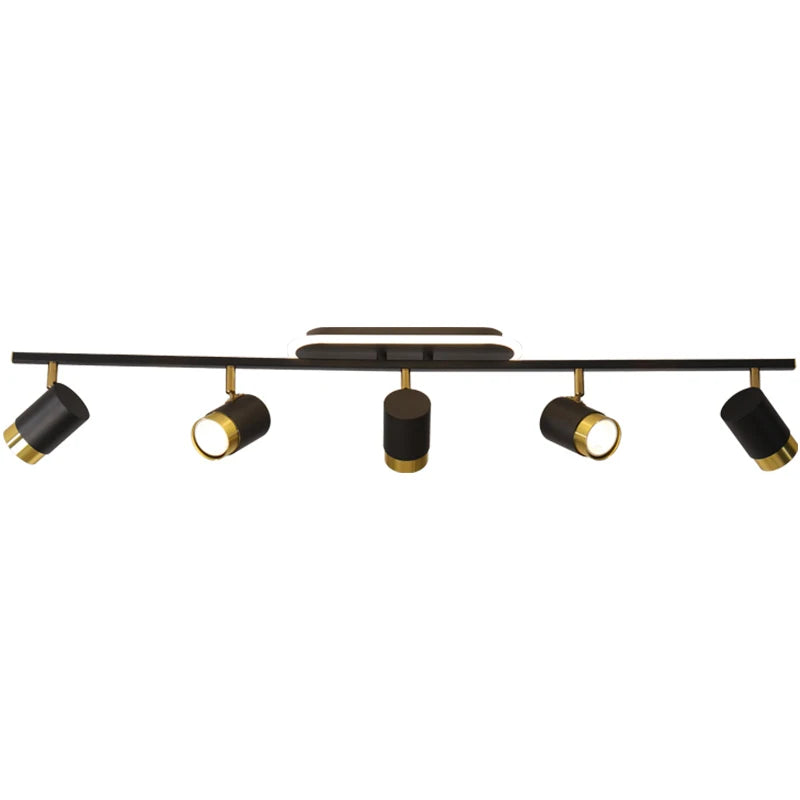 Élise Modern Black & White LED Ceiling Spotlight Lamp