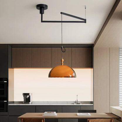Camille Brown Acrylic Wood Pendant Light