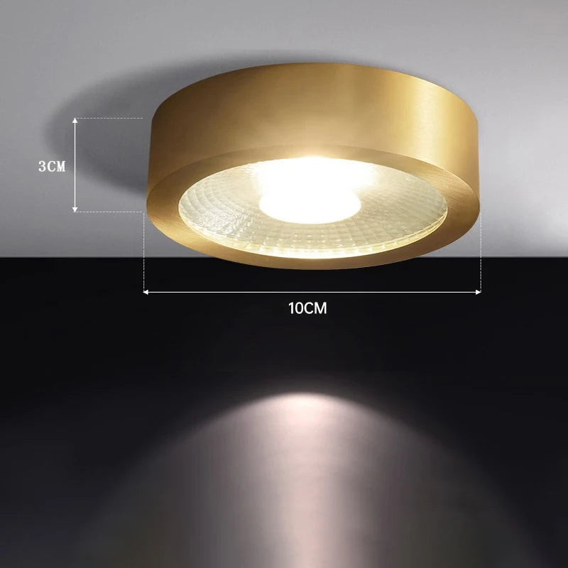 Lucienne Nordic Copper LED Ceiling Spotlight Light