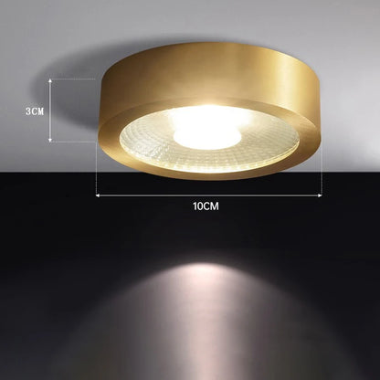 Lucienne Nordic Copper LED Ceiling Spotlight Light