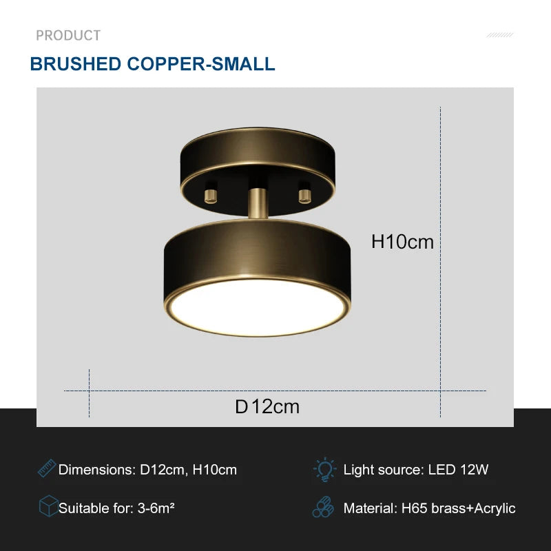 Aveline Brass LED Flush Mount Ceiling Light