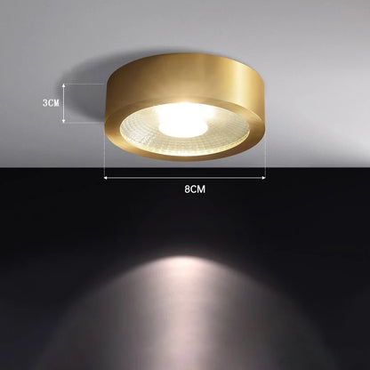 Lucienne Nordic Copper LED Ceiling Spotlight Light