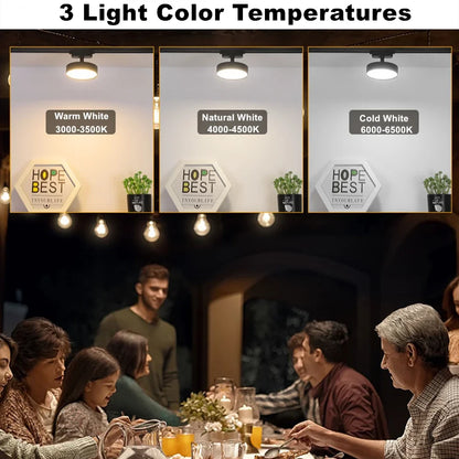 Lucie LED Track Light Adjustable Spotlight Rail Fixture