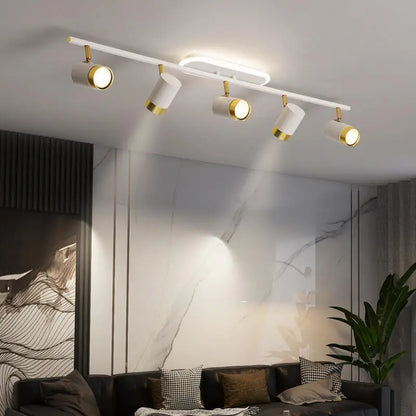 Élise Modern Black & White LED Ceiling Spotlight Lamp