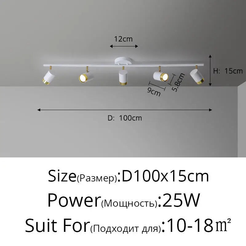 Élise Modern Black & White LED Ceiling Spotlight Lamp