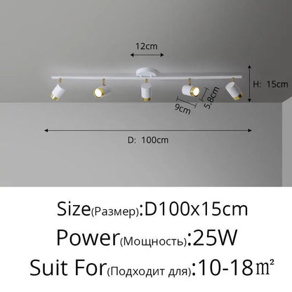 Élise Modern Black & White LED Ceiling Spotlight Lamp
