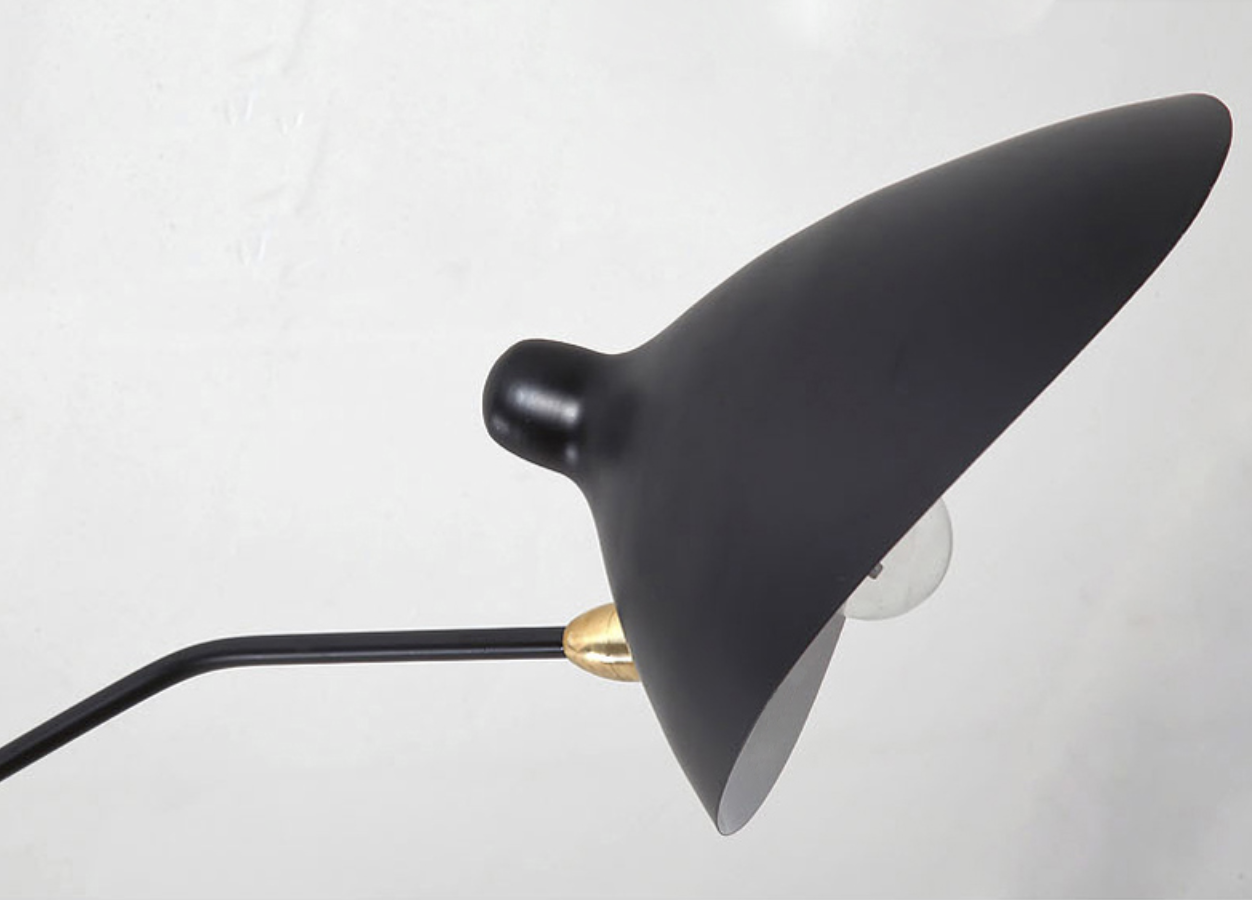 Camille Serge Duckbill Swing Arm Wall Lamp