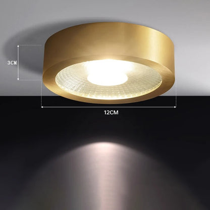Lucienne Nordic Copper LED Ceiling Spotlight Light