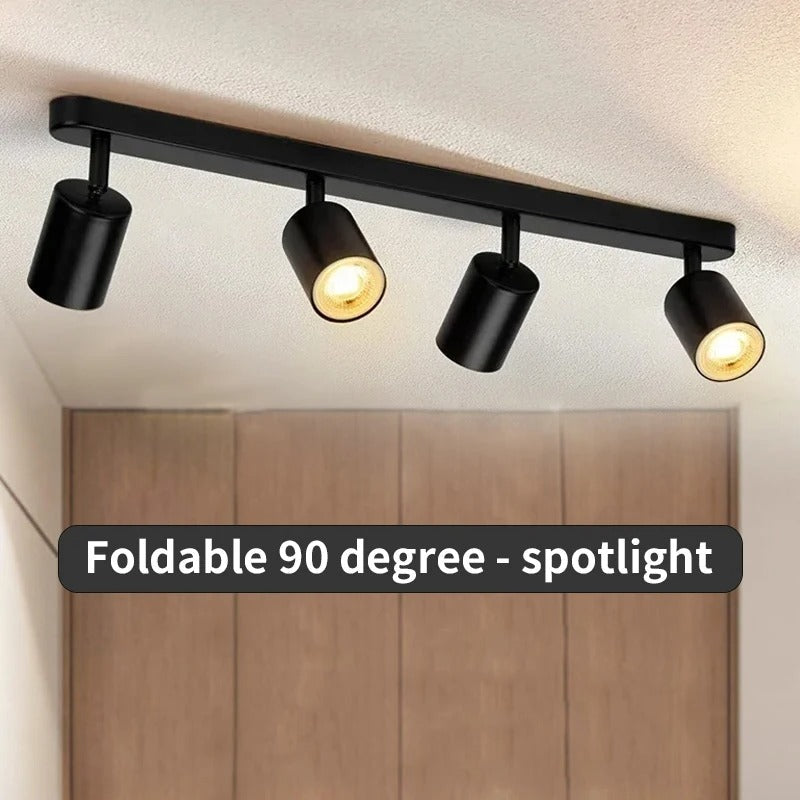 Fleur Adjustable Multi-Head Track Spotlight
